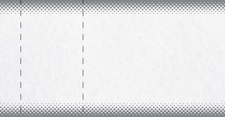 Two Part Ticket Example Ticket Printing Silver Unbranded 2 Part Tickets - Print My Tickets